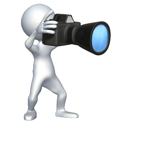 Файл:Taking pictures PA 500 clr.gif