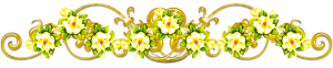 75968прара22.png
