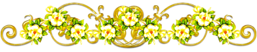 75968прара22.png