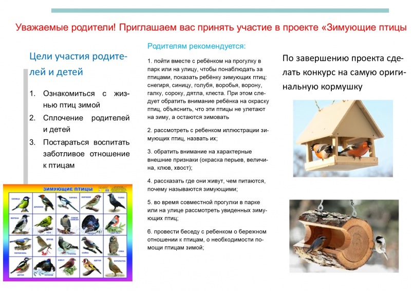 Файл:Зимующие птицы Шилова 23.02.18-2.jpg