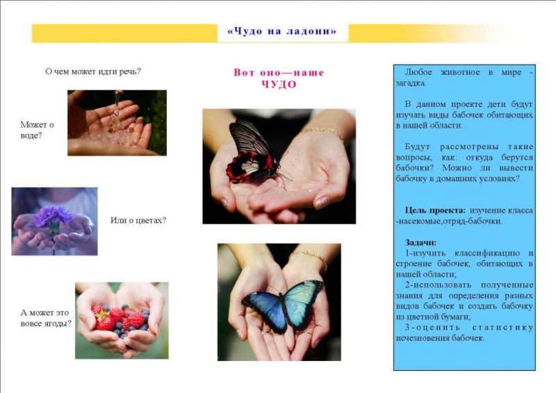 Файл:Буклет Вилесова 2.jpg