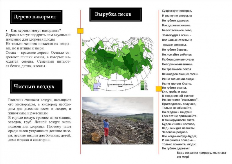 Файл:Деревья1.jpg