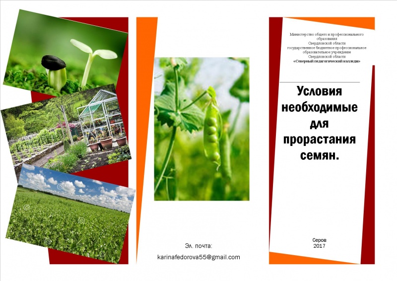 Файл:Апропр-1.jpg