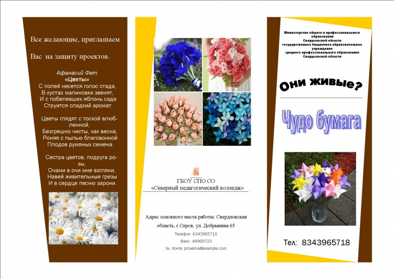 Файл:Буклет инькова-1.jpg