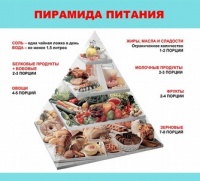 Сбалансированное питание.jpg