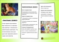 Миниатюра для версии от 09:57, 15 мая 2015