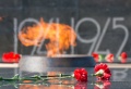 Миниатюра для версии от 18:45, 20 ноября 2015