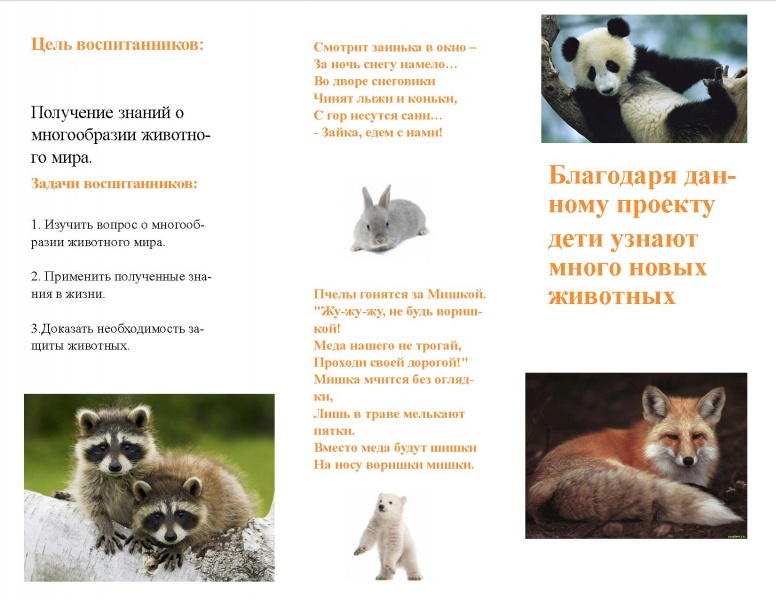 Файл:Буклет Фендрих 24.02.2018-2.jpg
