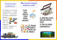 Буклет.погружение в аквариум-2.jpg