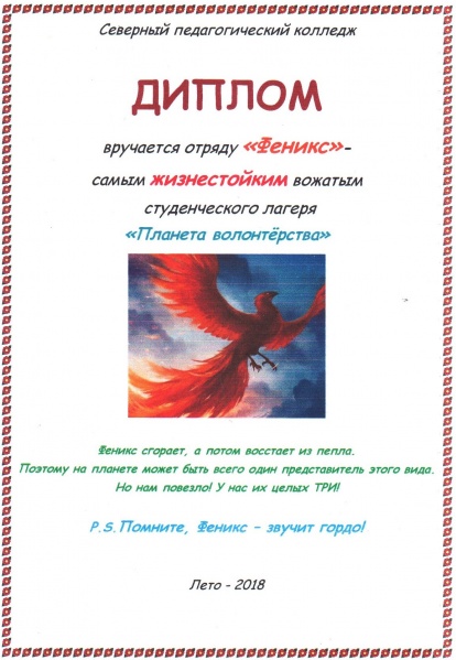 Файл:Сканированный диплом отряду Червинская.jpg