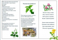 Буклет Кулакова 2.jpg