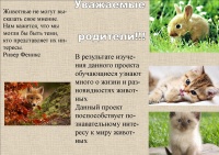 Докучаева1 .jpg