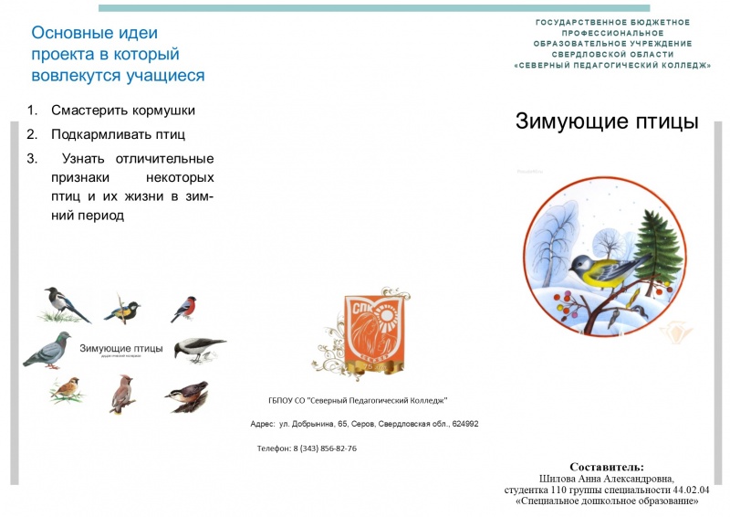 Файл:Зимующие птицы Шилова 23.02.18-1.jpg