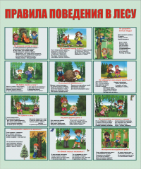 Правилаапврнып.png