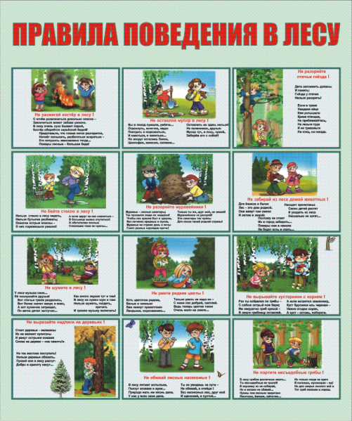 Файл:Правилаапврнып.png