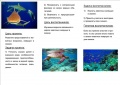 Миниатюра для версии от 19:51, 9 марта 2017
