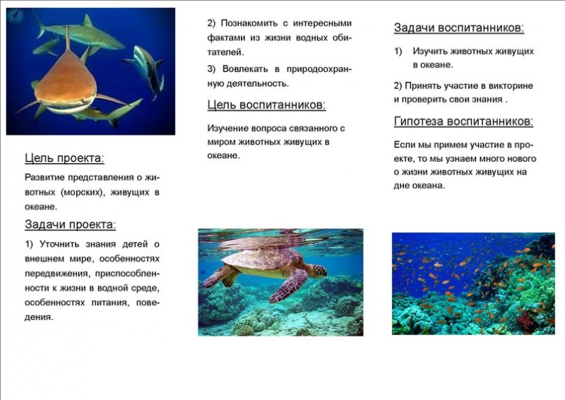 Файл:1489078037.jpg