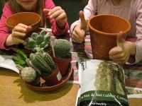 1366045521 start-of-cactus-garden.jpg