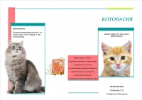 КОТОВАСИЯ 1.jpg
