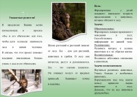 Qwertyuiop-2.jpg