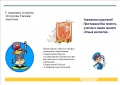 Миниатюра для версии от 19:13, 21 февраля 2017