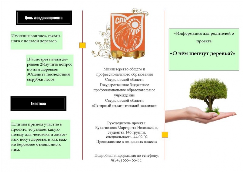 Файл:Деревья.jpg
