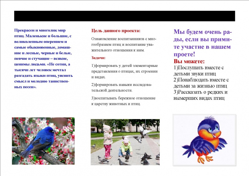 Файл:Буклет Гареевой2.jpg