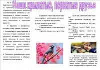 Чупракова Буклет2.jpg