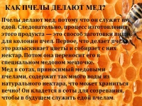 Ловарн-1.jpg