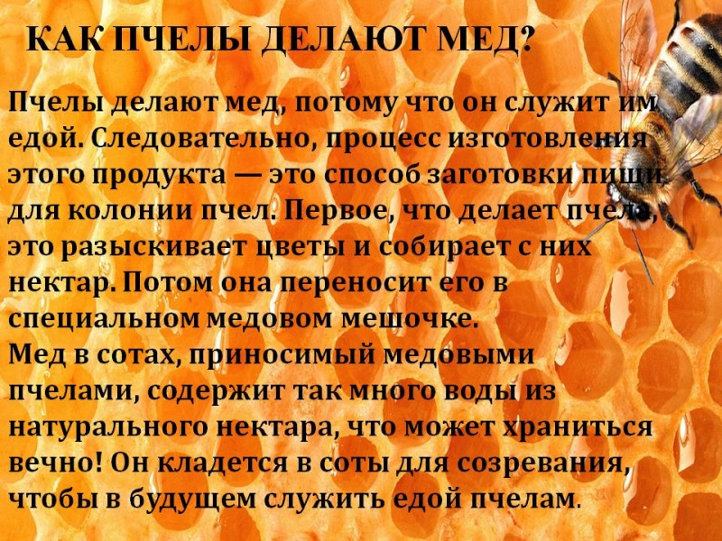 Файл:Ловарн-1.jpg