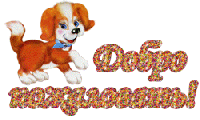 482901246.gif