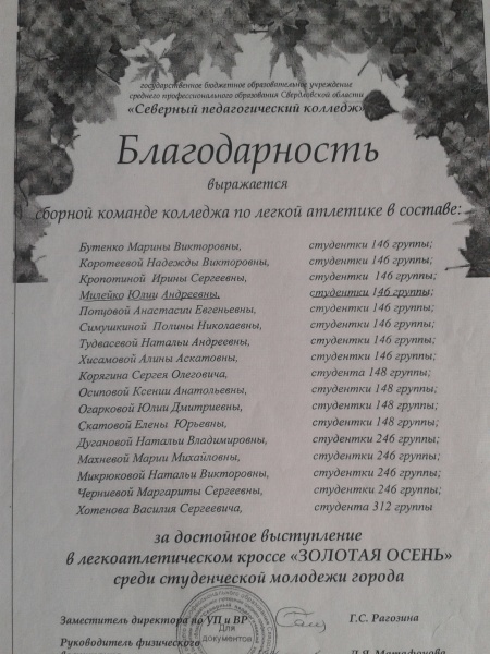 Файл:Мои достижения (20).jpg