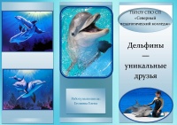 ДельфиныЕгошинаИКТ.jpg