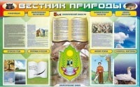 Bezimyannij(17).JPG