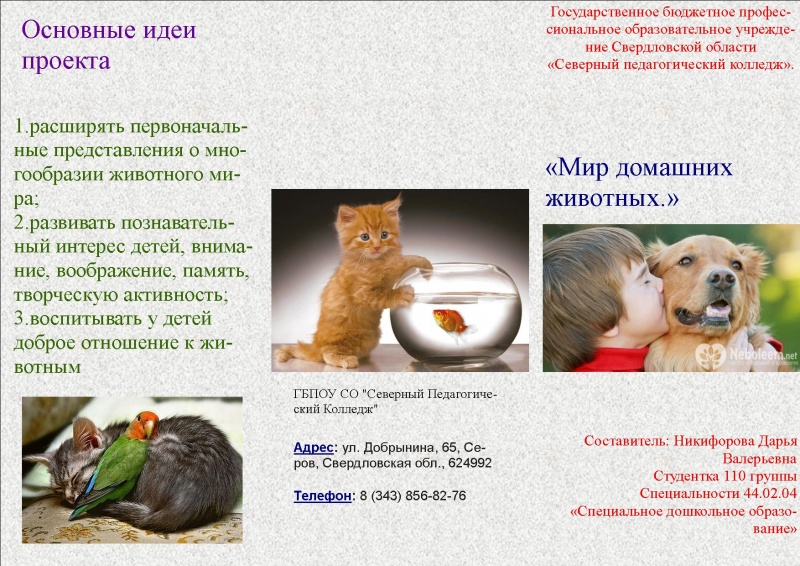 Файл:Буклет Никифоровой 24022018-1.jpg