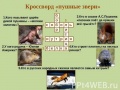 Миниатюра для версии от 15:23, 17 марта 2017