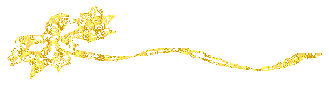 11677048.gif