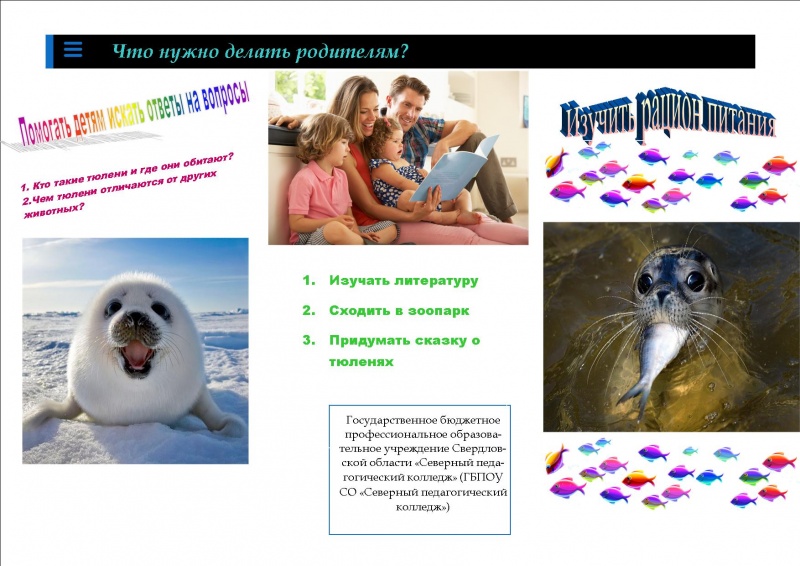 Файл:Буклет Сяплина 2.jpg