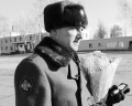Миниатюра для версии от 19:21, 28 ноября 2015