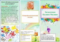 Буклет Фоминой 02.03.2018-1.jpg