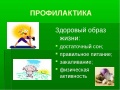 Миниатюра для версии от 12:46, 21 апреля 2017