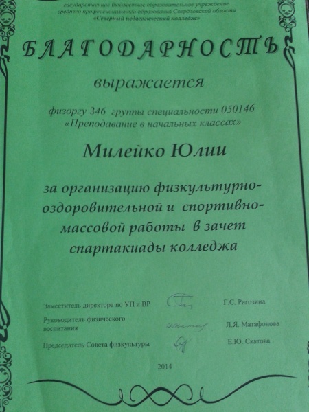 Файл:Физкультурно оздоровите.jpg