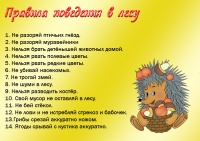 Правила поведения в лесу.jpg