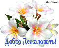 Миниатюра для версии от 14:50, 4 мая 2017