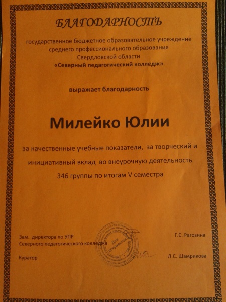 Файл:За творческий инициативный вклад.jpg