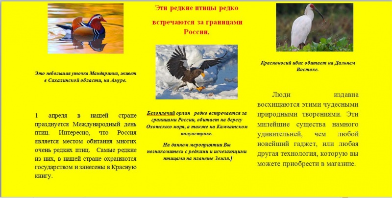Файл:Буклет Брызгиной 0302018-2.jpg