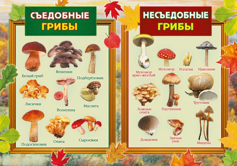 Файл:Плакат 2.03.2016.jpg
