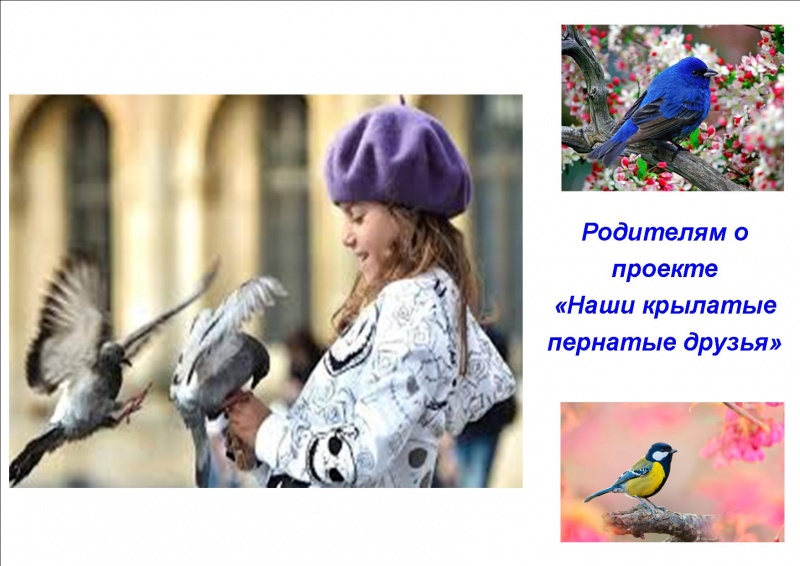 Файл:Чупракова Буклет1.jpg