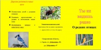Буклет Брызгиной 0302018-1.jpg