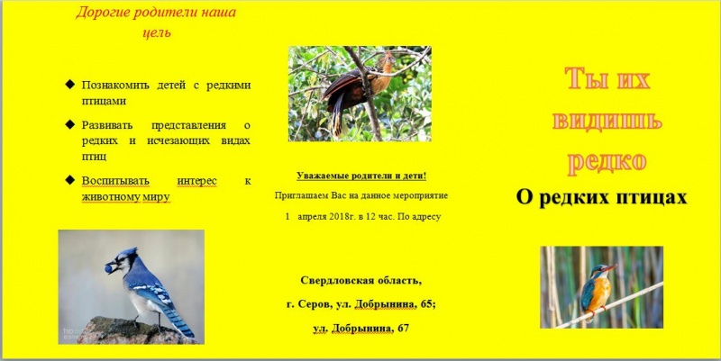 Файл:Буклет Брызгиной 0302018-1.jpg